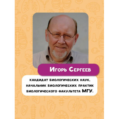 Тело человека.