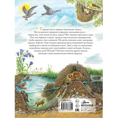 Чудеса природы. 50 историй в картинках для детей.