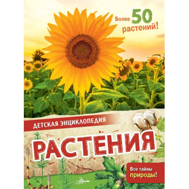 Растения.