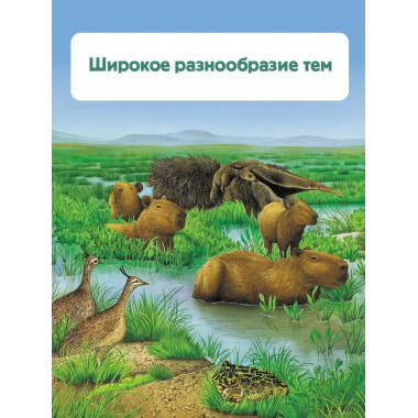 Растения.