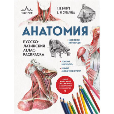 Анатомия: русско-латинский атлас-раскраска (новое оформление
