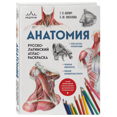 Анатомия: русско-латинский атлас-раскраска (новое оформление