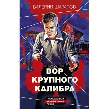 Вор крупного калибра.