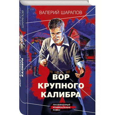 Вор крупного калибра.