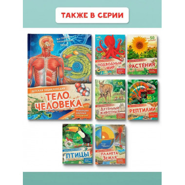 Тело человека.