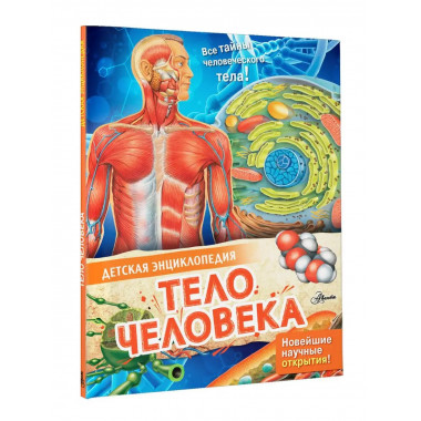 Тело человека.