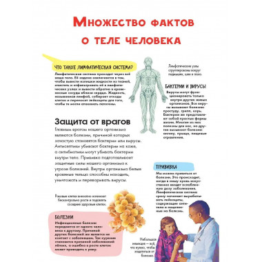 Тело человека.