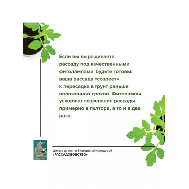 Рассадоводство. Первые шаги к здоровому урожаю.