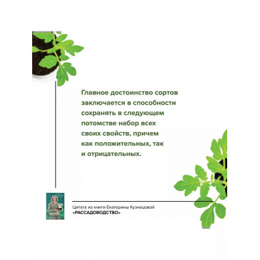 Рассадоводство. Первые шаги к здоровому урожаю.