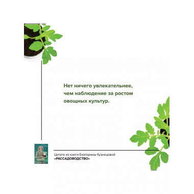 Рассадоводство. Первые шаги к здоровому урожаю.