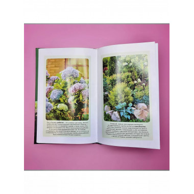 Любимый цветник. Простые шаги для создания декоративного сад