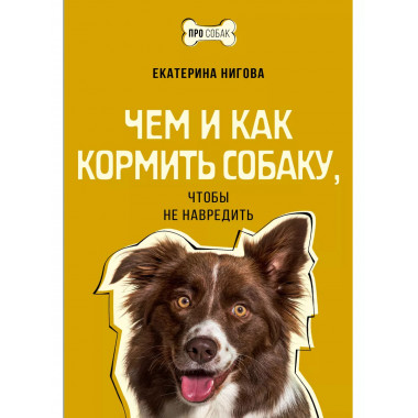 Чем и как кормить собаку, чтобы не навредить.