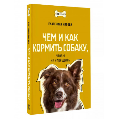 Чем и как кормить собаку, чтобы не навредить.