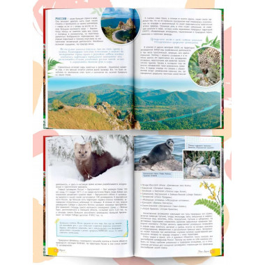 Красная книга Заповедники России Животные и растения.