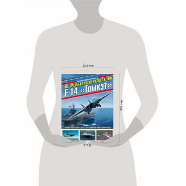 Истребитель-перехватчик F-14 