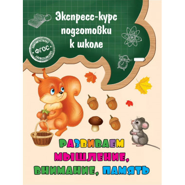 Развиваем мышление, внимание, память.
