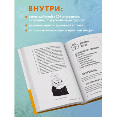 Кошки. Сам себе ветеринар. Как оказать первую помощь кошке и