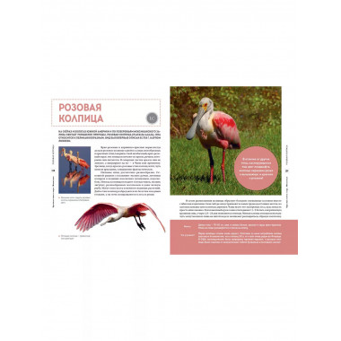 Красная книга мира. Животные.