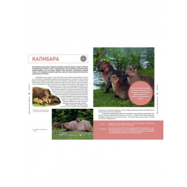 Красная книга мира. Животные.