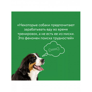 Рабочая тетрадь владельца собаки.