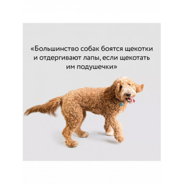 Рабочая тетрадь владельца собаки.
