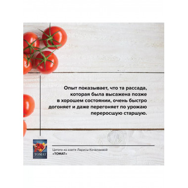 Томат. Выращиваем, ухаживаем и едим.