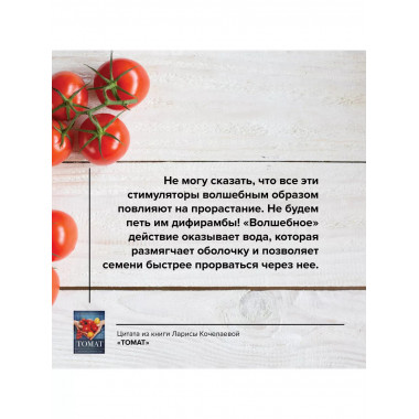 Томат. Выращиваем, ухаживаем и едим.