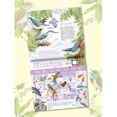 Календарь настенный Певчие птицы с голосами 2024 год.