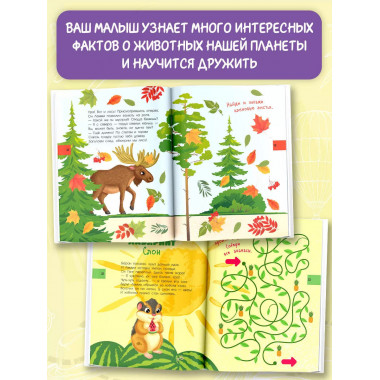 Большая книга квестов и лабиринтов для почемучки.