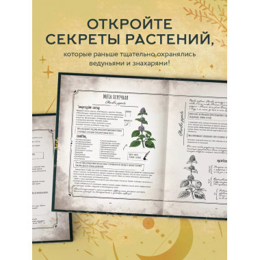 Тайны и магия растений. Путеводитель по миру трав и деревьев