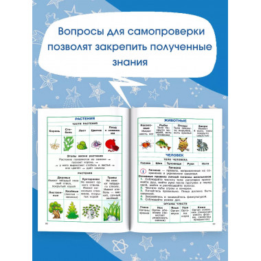 Полный курс начальной школы.