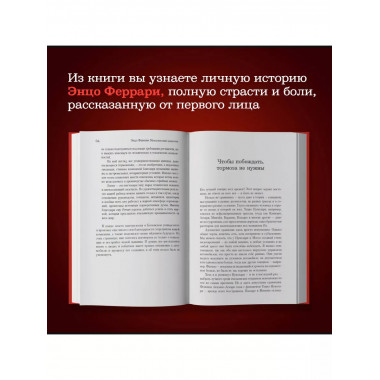 Мои ужасные радости. История моей жизни.
