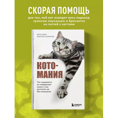 Котомания. Что скрывается за поведением кошки и как воспитат