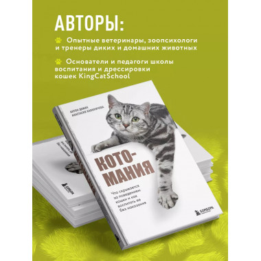 Котомания. Что скрывается за поведением кошки и как воспитат