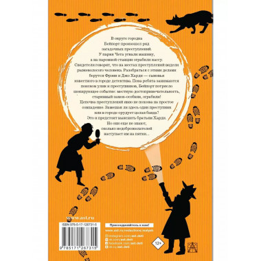 Братья Харди и сокровища башни.