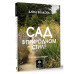 Сад в природном стиле. Нетронутая красота.