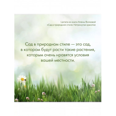 Сад в природном стиле. Нетронутая красота.
