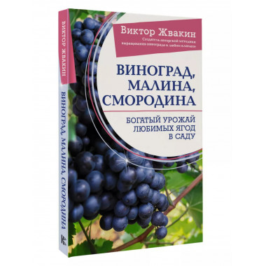 Виноград, малина, смородина. Богатый урожай любимых ягод в с