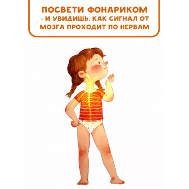 Все секреты человека.