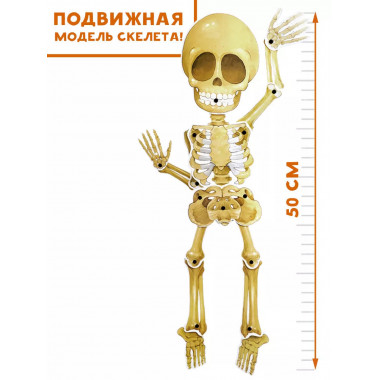 Все секреты человека.