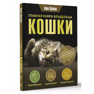Главная книга владельца кошки.