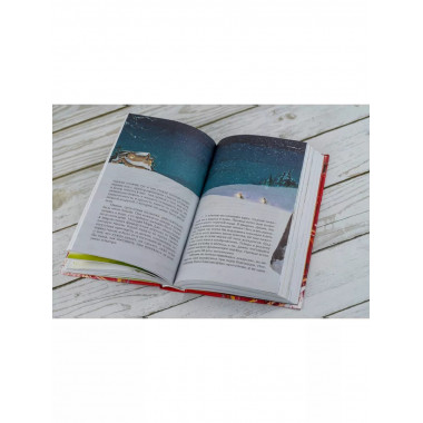 Аня из Зеленых Мезонинов.