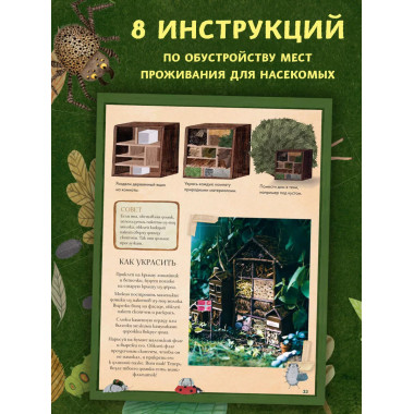 Город насекомых.