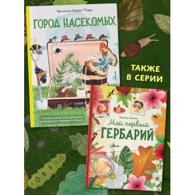 Город насекомых.