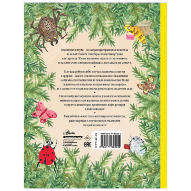 Город насекомых.