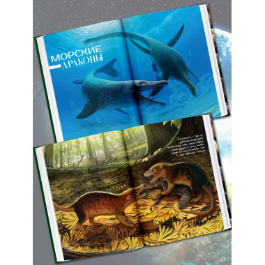 Здесь жили динозавры.