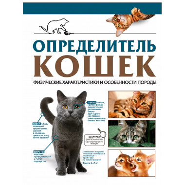 Определитель кошек. Физические характеристики и особенности