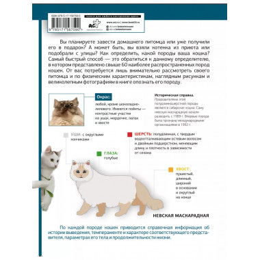 Определитель кошек. Физические характеристики и особенности