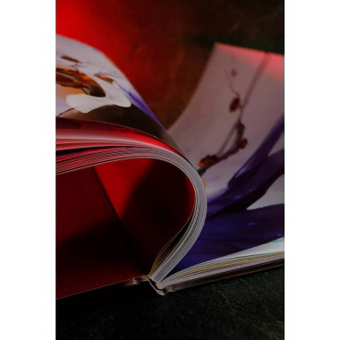 Красота на кончиках пальцев. Иллюстрации Чжи Цзяньтан.