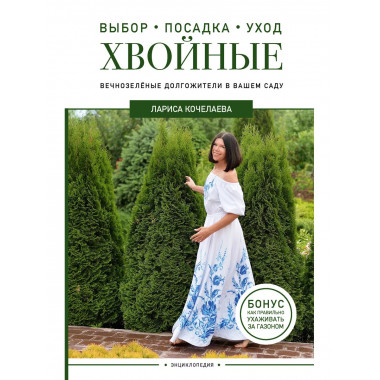 Энциклопедия хвойных растений. Вечнозелёные долгожители в ва